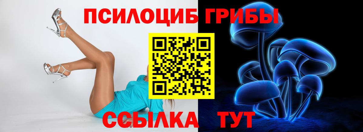 Псилоцибиновые грибы мицелий Аша